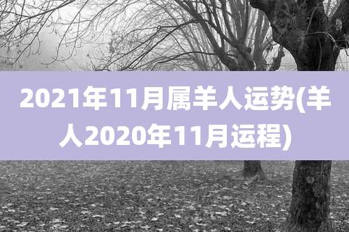 2021年11月属羊人运势(羊人2020年11月运程)