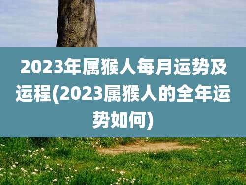 2023年属猴人每月运势及运程(2023属猴人的全年运势如何)
