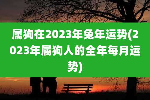 属狗在2023年兔年运势(2023年属狗人的全年每月运势)