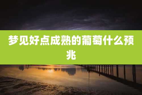 梦见好点成熟的葡萄什么预兆