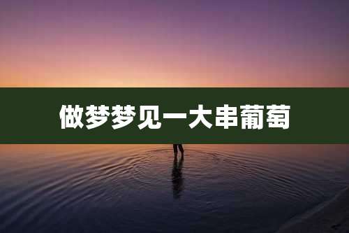 做梦梦见一大串葡萄