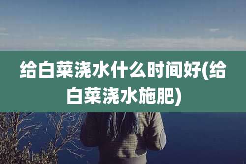 给白菜浇水什么时间好(给白菜浇水施肥)