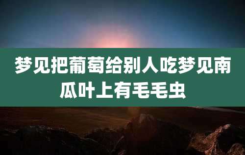 梦见把葡萄给别人吃梦见南瓜叶上有毛毛虫