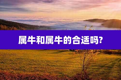 属牛和属牛的合适吗?