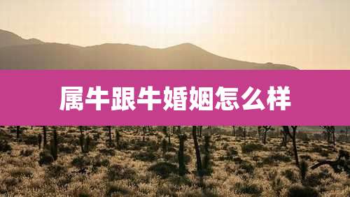 属牛跟牛婚姻怎么样