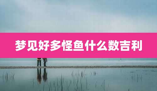梦见好多怪鱼什么数吉利