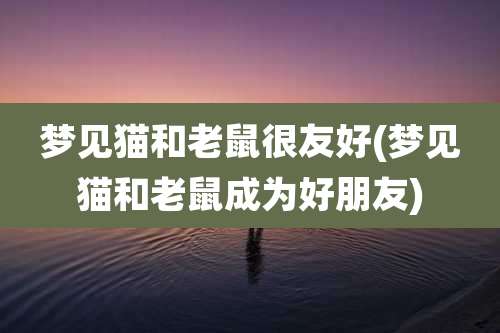 梦见猫和老鼠很友好(梦见猫和老鼠成为好朋友)