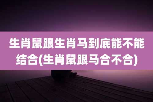 生肖鼠跟生肖马到底能不能结合(生肖鼠跟马合不合)