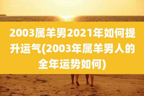 2003属羊男2021年如何提升运气(2003年属羊男人的全年运势如何)