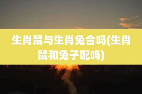 生肖鼠与生肖兔合吗(生肖鼠和兔子配吗)