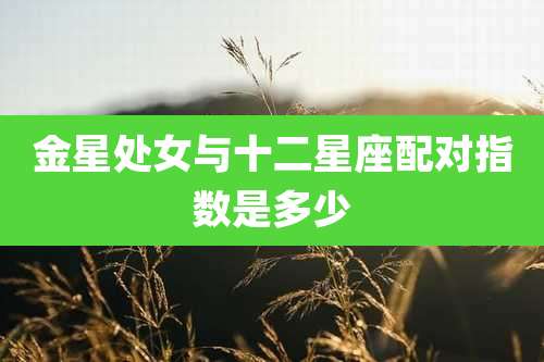 金星处女与十二星座配对指数是多少