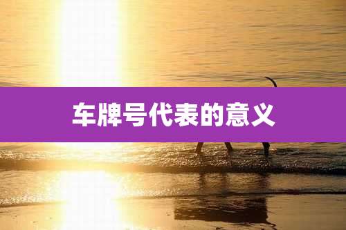 车牌号代表的意义