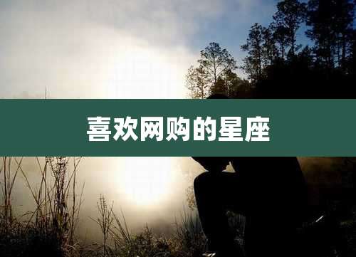 喜欢网购的星座