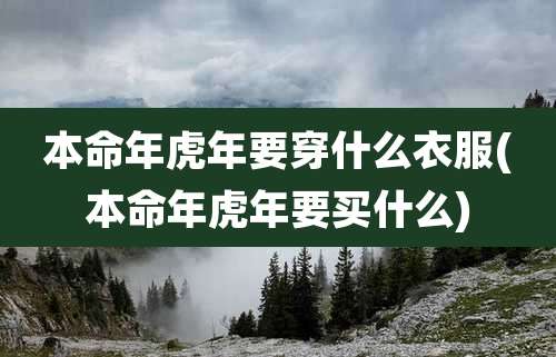 本命年虎年要穿什么衣服(本命年虎年要买什么)