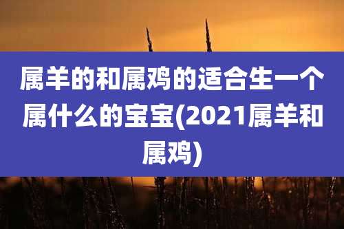 属羊的和属鸡的适合生一个属什么的宝宝(2021属羊和属鸡)