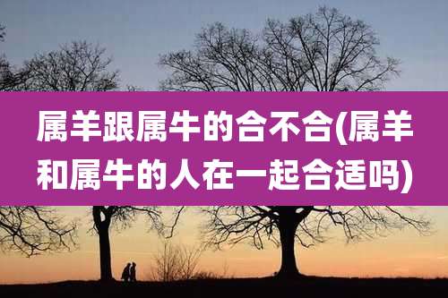 属羊跟属牛的合不合(属羊和属牛的人在一起合适吗)