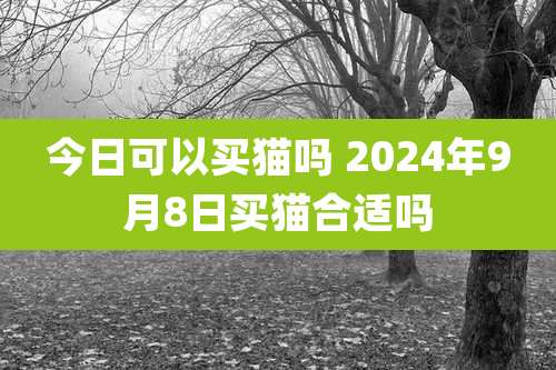 今日可以买猫吗 2024年9月8日买猫合适吗