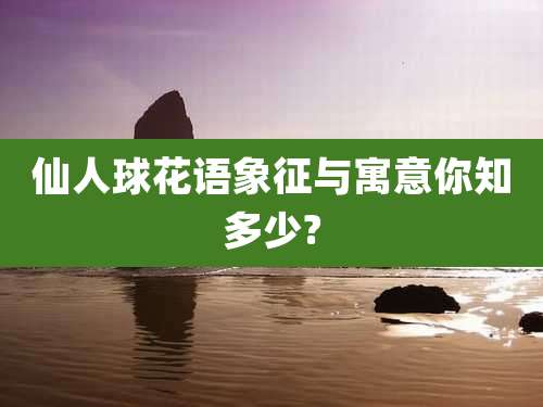 仙人球花语象征与寓意你知多少?