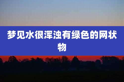 梦见水很浑浊有绿色的网状物