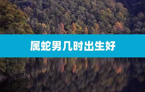 属蛇男几时出生好