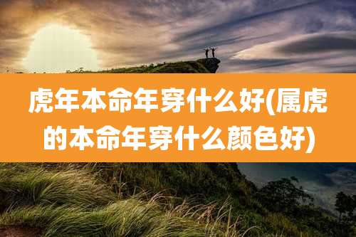 虎年本命年穿什么好(属虎的本命年穿什么颜色好)