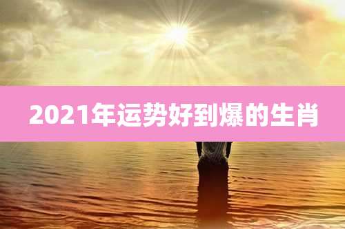2021年运势好到爆的生肖