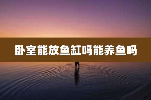 卧室能放鱼缸吗能养鱼吗