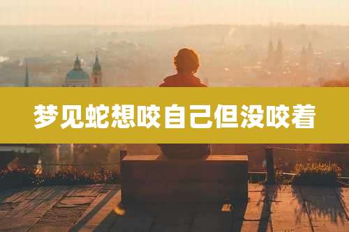 梦见蛇想咬自己但没咬着