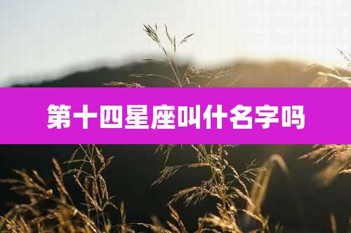第十四星座叫什名字吗
