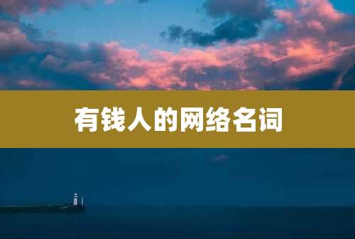 有钱人的网络名词