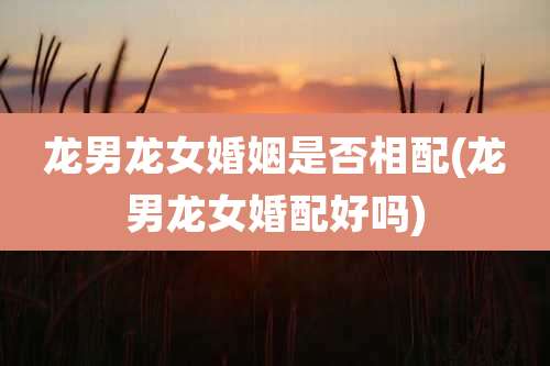 龙男龙女婚姻是否相配(龙男龙女婚配好吗)