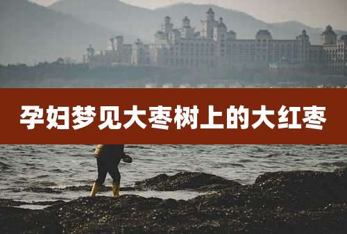 孕妇梦见大枣树上的大红枣