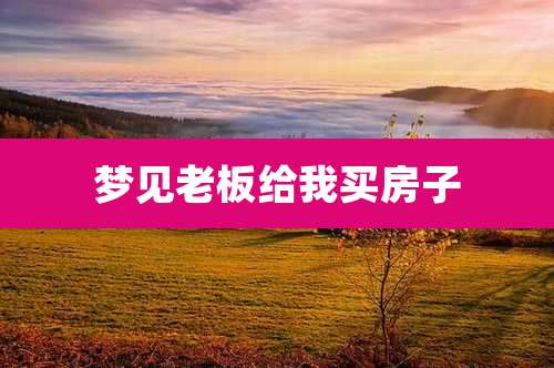 梦见老板给我买房子