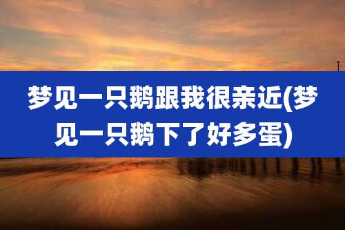 梦见一只鹅跟我很亲近(梦见一只鹅下了好多蛋)