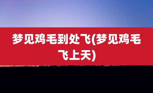 梦见鸡毛到处飞(梦见鸡毛飞上天)