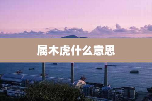 属木虎什么意思