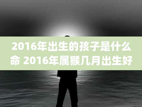 2016年出生的孩子是什么命 2016年属猴几月出生好