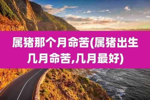 属猪那个月命苦(属猪出生几月命苦,几月最好)