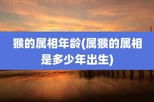 猴的属相年龄(属猴的属相是多少年出生)