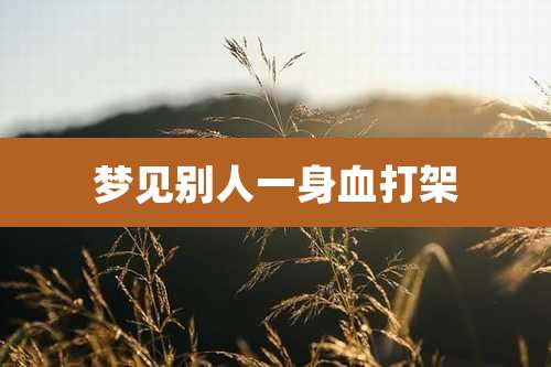 梦见别人一身血打架
