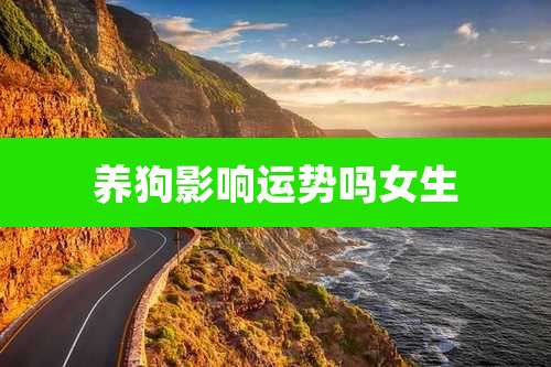 养狗影响运势吗女生