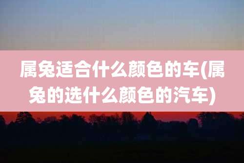 属兔适合什么颜色的车(属兔的选什么颜色的汽车)