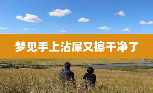 梦见手上沾屎又擦干净了