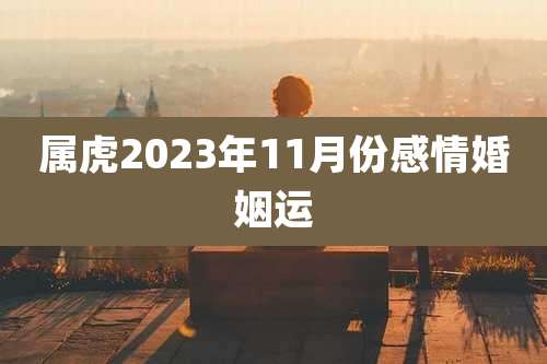 属虎2023年11月份感情婚姻运
