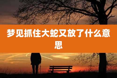 梦见抓住大蛇又放了什么意思