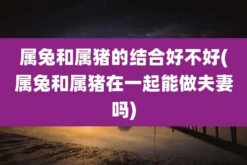 属兔和属猪的结合好不好(属兔和属猪在一起能做夫妻吗)