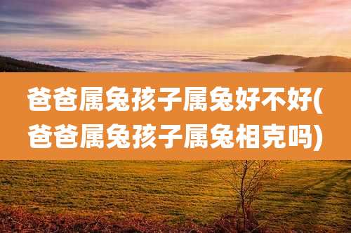 爸爸属兔孩子属兔好不好(爸爸属兔孩子属兔相克吗)