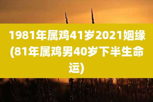 1981年属鸡41岁2021姻缘(81年属鸡男40岁下半生命运)