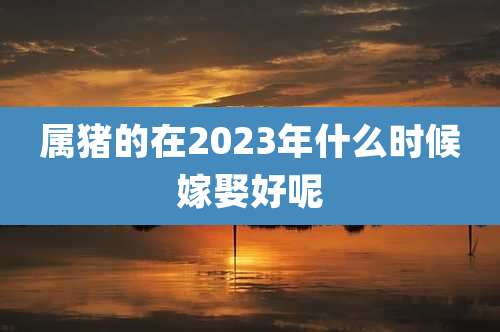 属猪的在2023年什么时候嫁娶好呢
