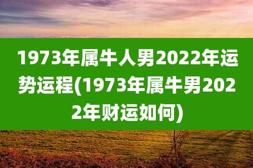 1973年属牛人男2022年运势运程(1973年属牛男2022年财运如何)